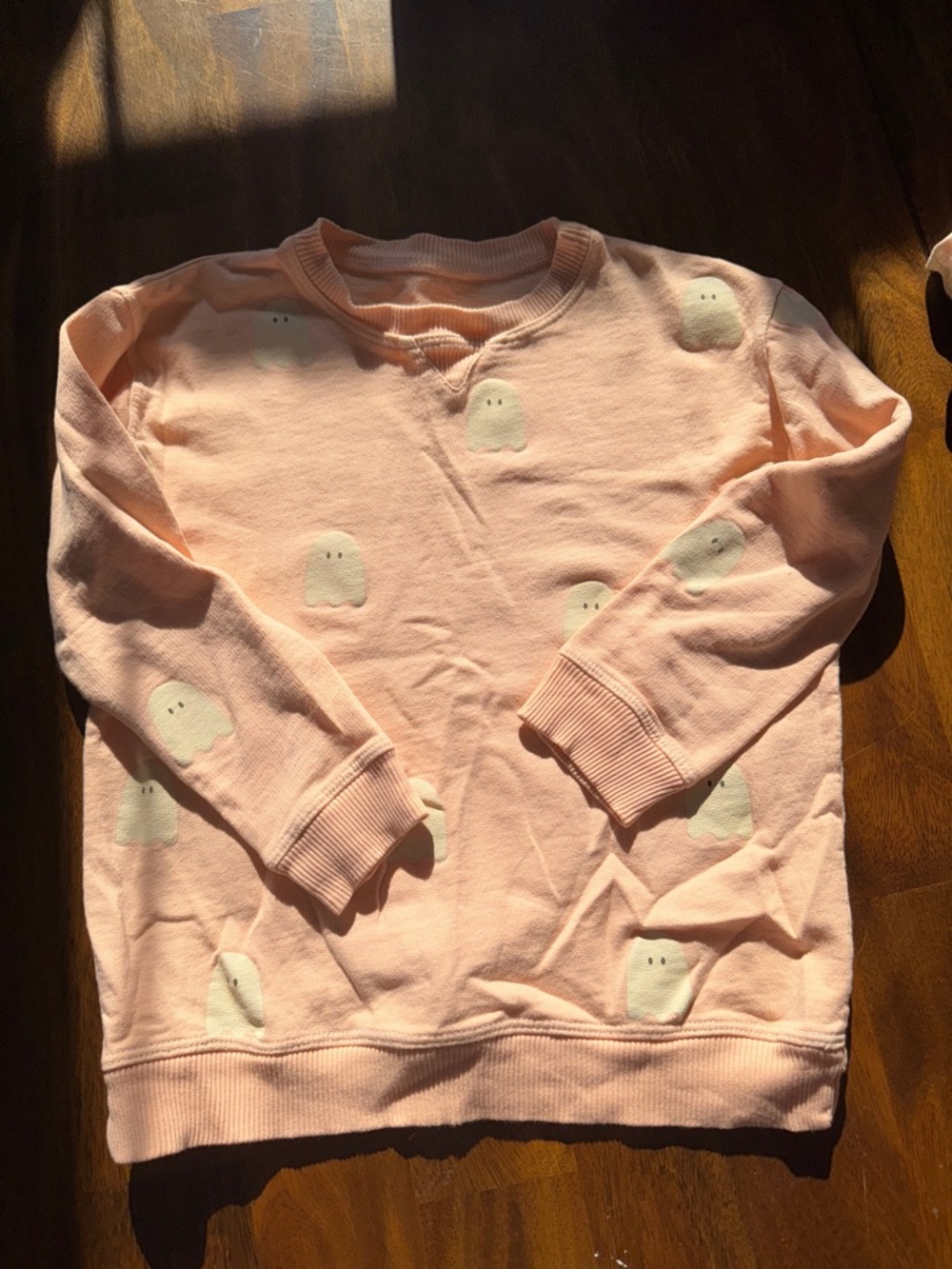 Wild Mae ghost sweater